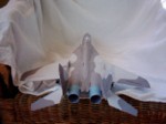 MiG-29 MM 7-8_2002 06.jpg
Unknown
56,37 KB 
800 x 600 
10.08.2005
